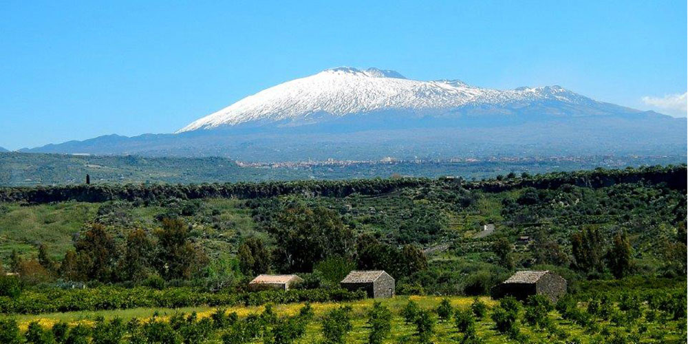 Vinaora Nivo Slider 3.x